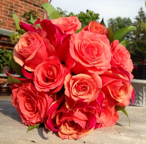 Coral Flowers