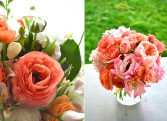 You’re Ultimate Coral Flowers Care Guide