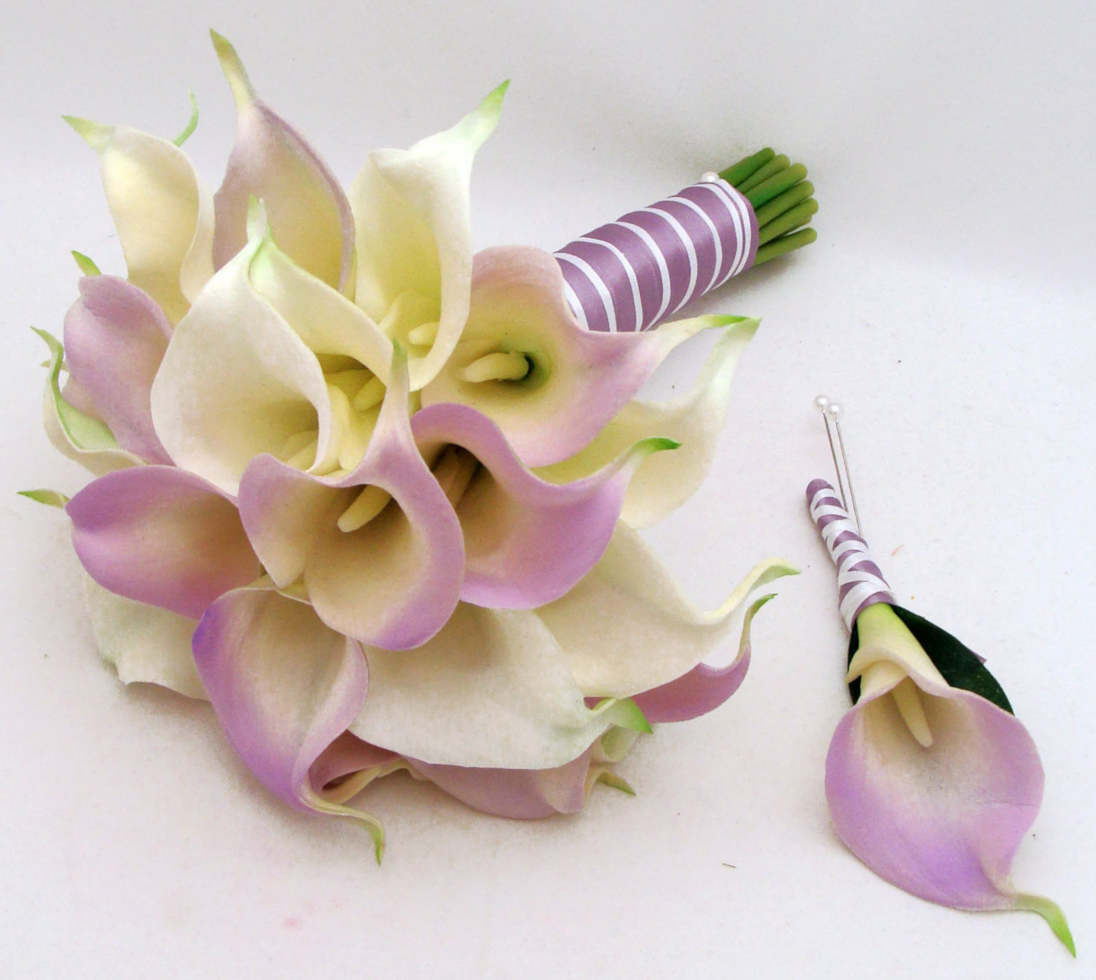 All About The Calla Lily Flower Zantedeschia Aethiopica