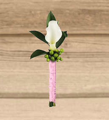 Buy Mini Calla Lily Flower