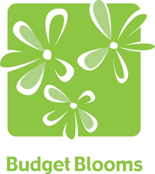 Budget Blooms Budget Blooms