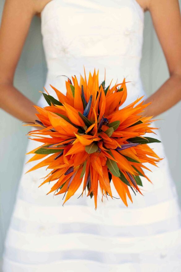 bird of paradise wedding bouquet 1
