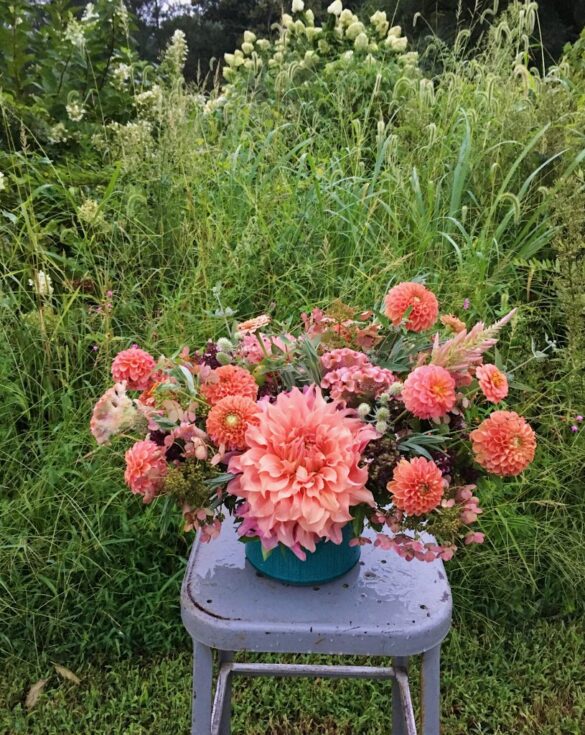 Coral Garden Flowers