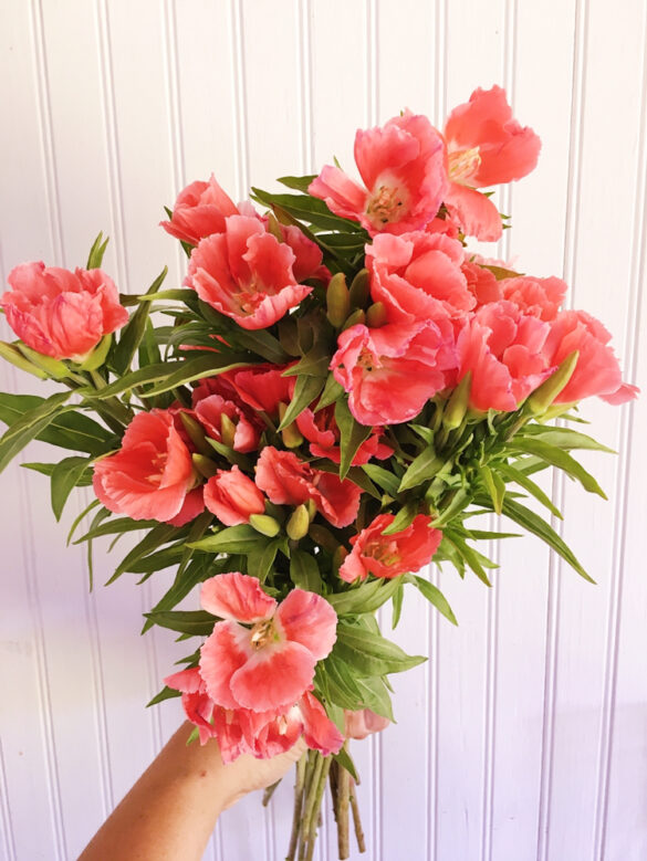 Coral Flowers Natural Bouquet